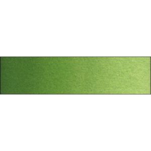 OH06.050 Chromium Oxide Green18ml Old Holland Watercolour
