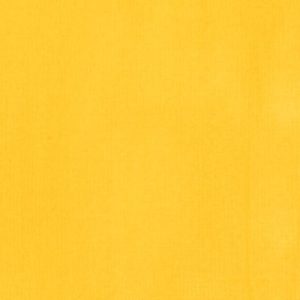 Cadmium Yellow Light Liquitex Acrylic Ink 30ml - No: 159