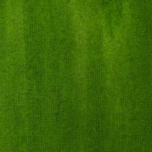 Sap Green Permanent Acrylic Ink 30ml - No: 315