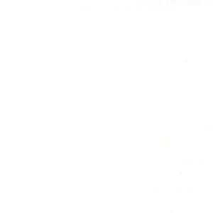 Titanium White Acrylic Ink 30ml - No: 432